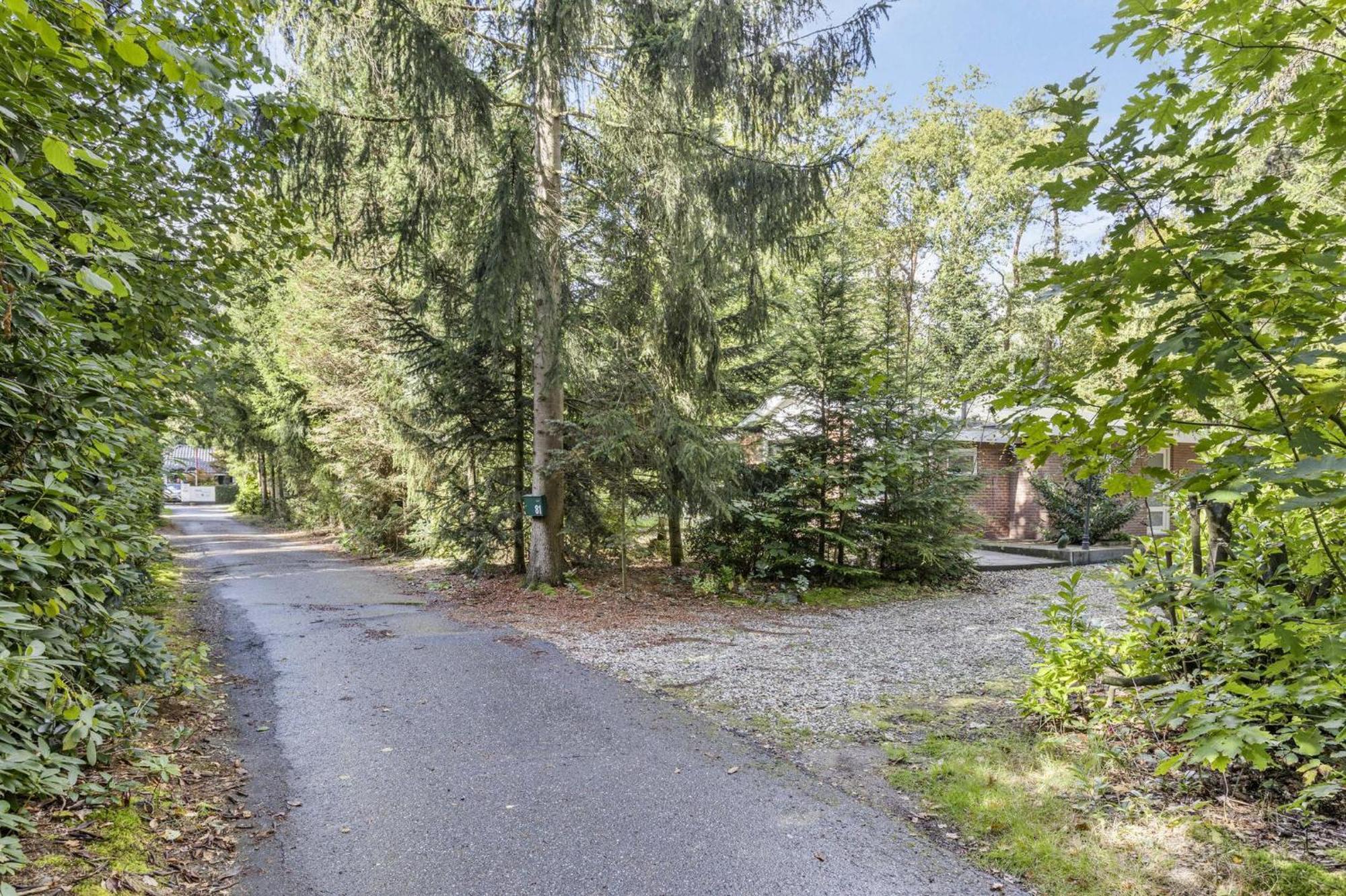 Relaxen In Het Bos Met Privesauna Holten Bagian luar foto